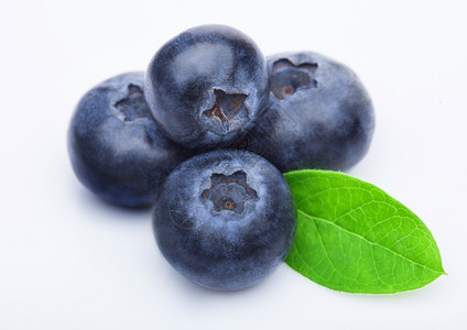 新鲜生有机蓝莓白底叶图片