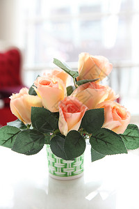 罐中花朵绿色玫瑰纹理高清图片