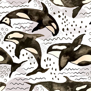 矢量手绘水彩水下海豚背景图片