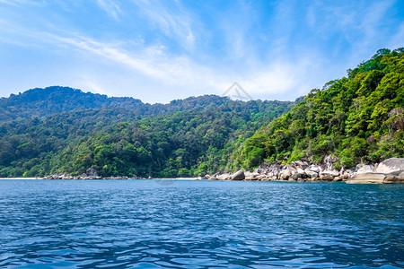 海龟滨远洋岛屿长马来西亚长洋岛屿图片