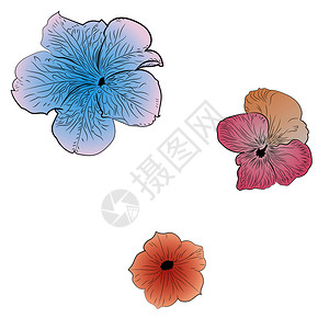 你好春天海报白色背景的装饰夏季花朵插图插画