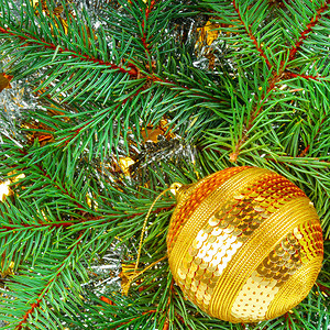 圣诞或新年装饰品光亮的金球在树枝花圈背景上平坦的躺下最顶端视野图片