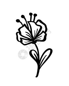 黑白手绘卡通植物花朵图片