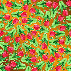 红郁金香的颜色图片