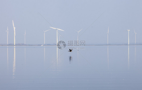 反映于内地Huizen附近Emr水中的风涡轮机和蓝天空图片