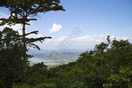 绿色和蓝哈瑞特山安达曼岛印地亚绿色和蓝印地亚图片