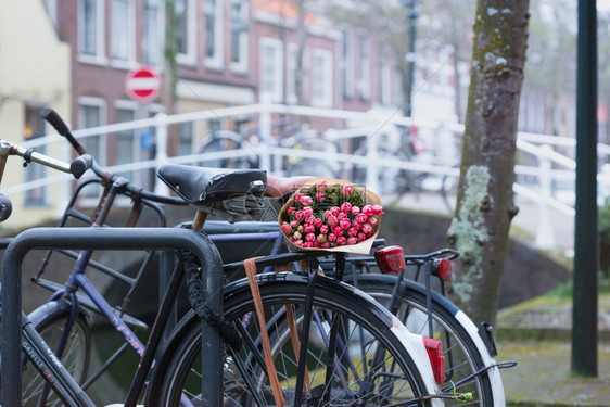 一束美丽的粉红色郁金香花躺在自行车的后备箱上图片