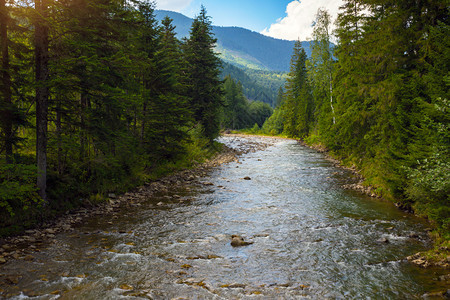 喀尔巴阡山脉中美丽的河图片