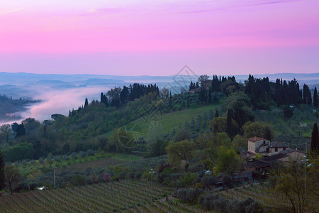 黎明和典型的土卫二风景山丘上的一个别墅景象一个铁丝网小巷和一个有葡萄园的山谷锡那省图片