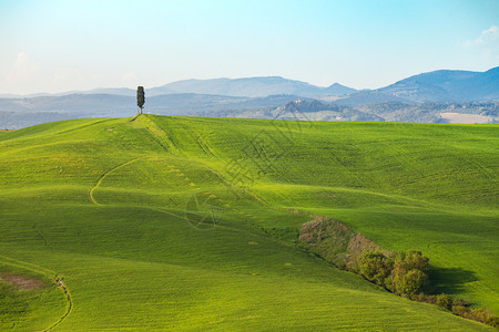 典型的土卫六风景阳光明媚的日落山坡上一座棵树和绿地的景象图片