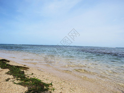 纳拉坦尼岛海滩,曼纳尔生物圈保护区湾,塔米尔纳杜印地亚。 纳拉坦尼岛海滩,曼纳生物圈保护区湾,印地亚。图片