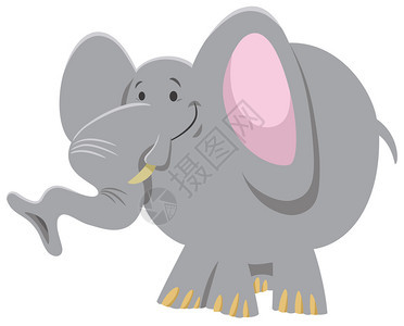 野生大象插图图片