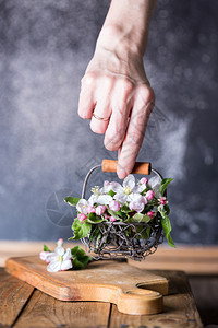 女孩手握篮子有开花的苹果树枝图片