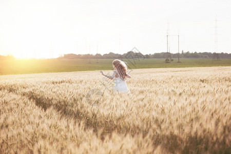 快乐的夏天和自由美丽的小女孩在阳光明媚的一天在麦田图片