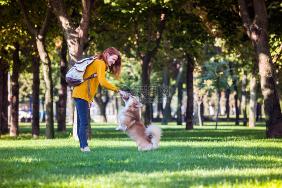 女人在公园中训练小狗图片
