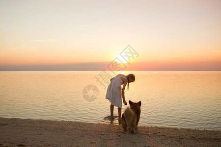 女孩带着狗在海边玩耍图片