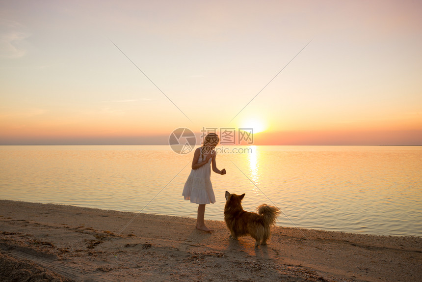女孩带着狗在海边玩耍图片