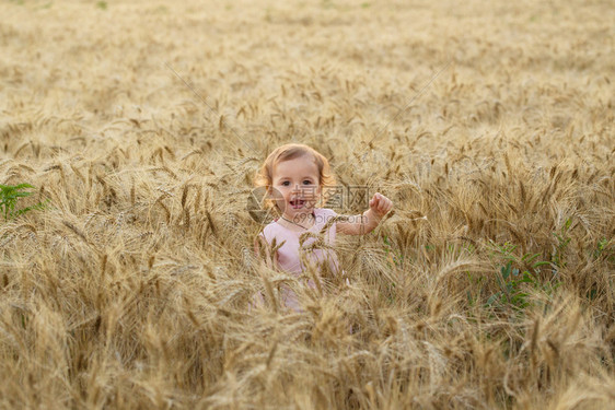 小宝宝在麦田中微笑图片