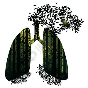 人类肺里有抽象的森林插图图片