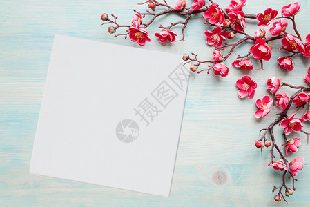 涂漆蓝板的春季背景花樱枝的分支以粉红花为边框白方空纸页或画布作为文字位置图片