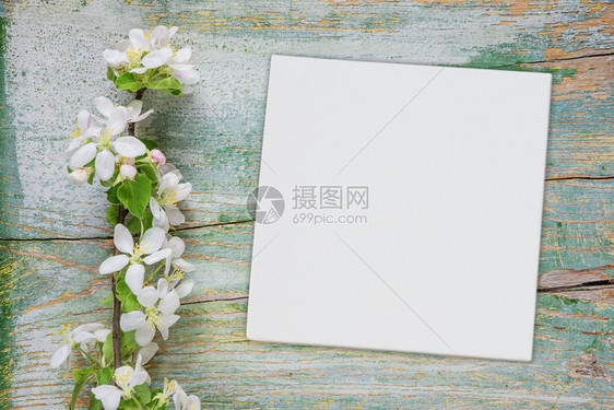 白色花朵和纸页或有文字位置的白方空纸布或画覆盖着开花苹果分支的旧涂漆蓝板抽象春光背景图片