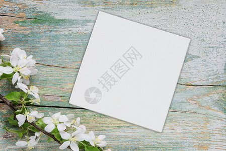 白色花朵和纸页或有文字位置的白方空纸布或画覆盖着开花苹果分支的旧涂漆蓝板抽象春光背景图片