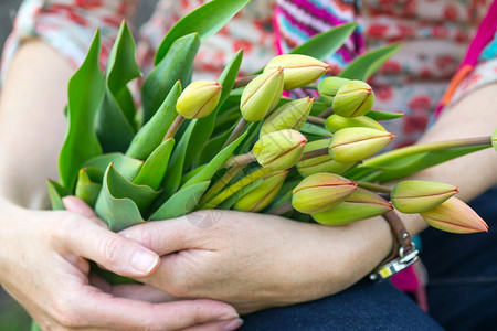 妇女握着红色郁金香花束的手图片