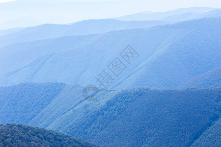 卡尔帕蒂亚山脉的蓝森林丘图片