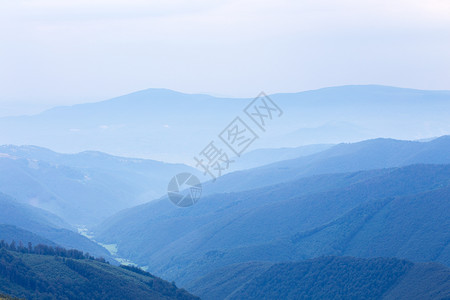 卡尔帕蒂亚山脉的蓝森林丘图片