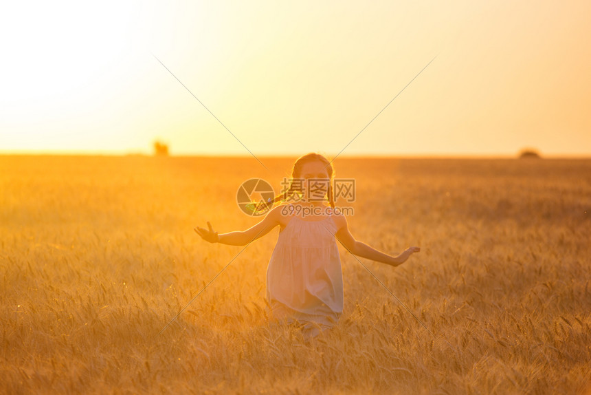 小女孩在麦田地奔跑图片
