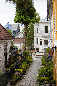 世界著名城镇贝尔根的空旷街道图片