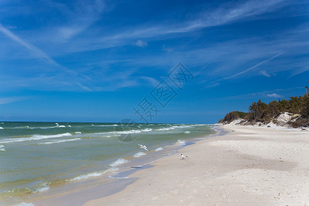 沙空海滨在清蓝天空有冲浪波图片