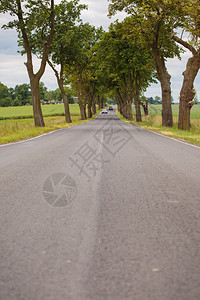 小麦田间农村空公路图片