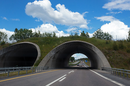 在努鲁道路上的隧道图片