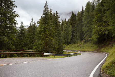 道路穿过松林图片