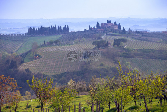 在西那省TuscanyItl拍摄照片展示典型的Tuscan风景和葡萄园山谷图片