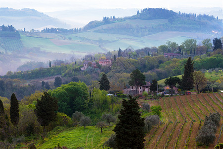 锡那省典型的图斯卡风景和带有葡萄园的山谷图片