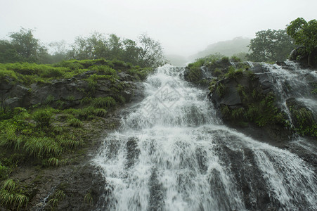 塔米尼高普奈马哈拉施特的瀑布图片
