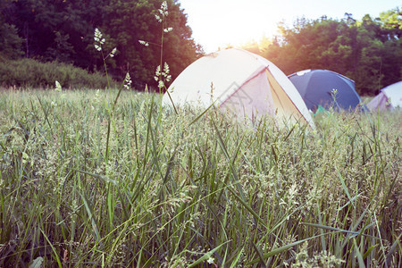 帐篷停在草原上图片