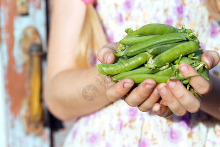 夏天微笑的女孩手里握着青豆图片