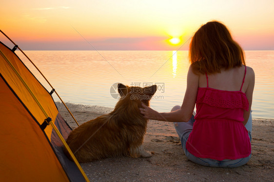 女孩和宠物一起看日落图片
