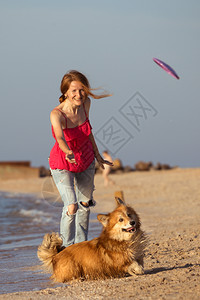 在海边玩得开心的周末女孩在飞盘上玩和狗在沙滩上玩图片