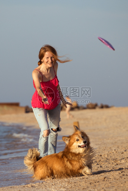 在海边玩得开心的周末女孩在飞盘上玩和狗在沙滩上玩图片