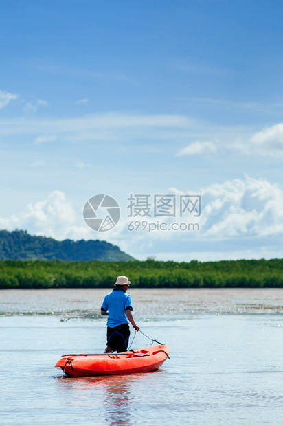 2014年5月日科朗塔克拉比泰兰拜牛出海当地泰族在青红树林的泥土地上拖着橙色的拜牛图片