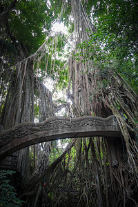 在神圣的猴子森林中老桥乌布德巴利印地安尼西亚在猴子森林中的老桥印地安尼西亚图片