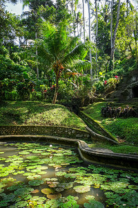 在戈阿加贾大象洞穴寺庙贝杜鲁乌布德巴利印地安多尼西亚的池塘和丛林在戈阿加贾大象洞穴寺庙印地安尼西亚的池塘和丛林图片