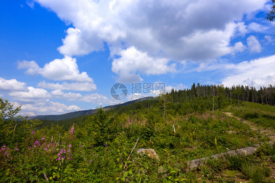 喀尔巴阡山脉传统地景观图片