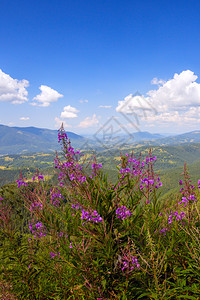 喀尔巴阡山脉传统地景观高清图片