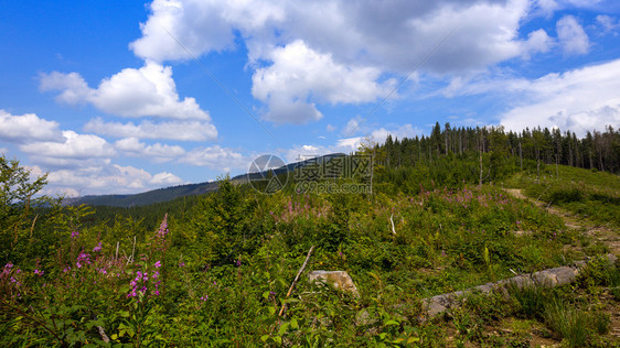 喀尔巴阡山脉传统地景观图片