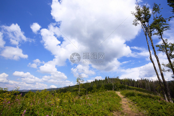 喀尔巴阡山脉传统地景观图片